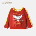 Harry Potter Toddler Boy GRYFFINDOR Sweatshirts and Allover Pants Red