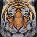 Kid Boy Animal Tiger Print Black Hooded Sweatshirt Black