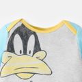 Looney Tunes Baby Boy/Girl Colorblock Long-sleeve Graphic Jumpsuit Grey