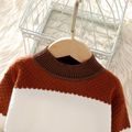 Toddler Girl Colorblock Mock Neck Textured Long-sleeve Knit Dress (Belt is not included) Brown