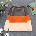 Toddler Boy Animal Fox Pattern Colorblock Raglan Sleeve Sweater Orange