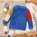 Baby Boy/Girl Long-sleeve Colorblock Knitted Pullover Sweater Multi-color