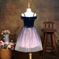 Kid Girl Princess Velvet Mesh Splice Star Glitter Design Off Shoulder Party Strap Dress Blue image 4