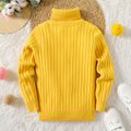 Kid Girl Solid Color Ribbed Turtleneck Sweater Ginger