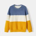 Family Matching Long-sleeve Colorblock Sherpa Fleece Pullover ColorBlock