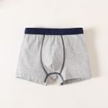 Kid Boy Basic BoXer Briefs Underwear Grey image 1