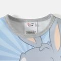 Looney Tunes Baby Boy/Girl Cartoon Print Colorblock Long-sleeve Sweatshirt flowergrey image 4