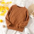 Kid Boy/Kid Girl Basic Solid Color Textured Knit Sweater Brown image 2