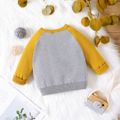 Baby Boy/Girl Bear Ears Detail Embroidered Raglan-sleeve Sweater Yellow image 2