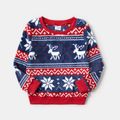 Look de família Natal Manga comprida Conjuntos de roupa para a família Tops Azul image 4