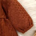 Baby Girl Eyelet Embroidered Ruffle Collar Brown Textured Long-sleeve Button Front Dress Brown image 4