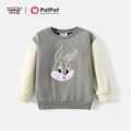 Looney Tunes Toddler Girl/Boy Character Embroidered Colorblock Cotton Sweatshirt Grey image 1