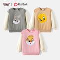 Looney Tunes Toddler Girl/Boy Character Embroidered Colorblock Cotton Sweatshirt Grey image 2