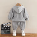 2pcs Toddler Boy Playful Dinosaur Print Hoodie Sweatshirt and Pants Set Grey image 2