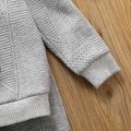 2pcs Toddler Boy Bear Embroidered Textured Sweatshirt and Elasticized Pants flowergrey image 4