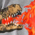 Kid Boy Dinosaur Flame Print Pullover Sweatshirt flowergrey image 3