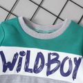2pcs Baby Boy Letter Print Long-sleeve Colorblock Sweatshirt and Ripped Jeans Set Blue image 3