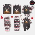Christmas Family Matching Deer & Letter Embroidered Raglan-sleeve Thickened Polar Fleece Pajamas Sets (Flame Resistant) Grey image 1