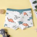 3-Pack Kid Boy Dinosaur Print Boxer Briefs Underwear Multi-color image 5