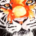 2pcs Kid Boy Animal Tiger Print Sweatshirt and Elasticized Pants Set Black image 4