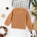 Baby Boy/Girl Long-sleeve Heathered Pullover Brown image 3