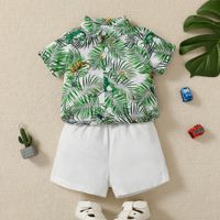 2pcs Baby Boy All Over Palm Leaf Print Short-sleeve Button Up Shirt and Solid Shorts Set