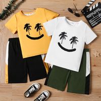 2pcs Kid Boy Emoji Print Short-sleeve Tee and Colorblock Shorts Set
