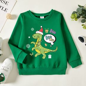 Christmas Toddler Boy Graphic Dinosaur and Snowflake and Letter Print Long-sleeve Pullover