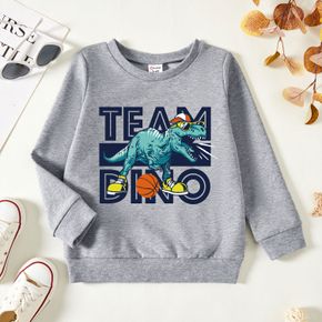 Toddler Boy Graphic Dinosaur and Letter Print Long-sleeve Pullover