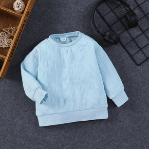 Toddler Boy Basic Textured Sky Blue Pullover Sweatshirt