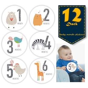 12-pack Baby Monthly Stickers Newborn Monthly Milestone Stickers Self Adhesive Baby Photography Props Background Souvenirs