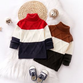 Toddler Boy/Girl Turtleneck Colorblock Sweater