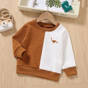 Toddler Boy Dinosaur Pattern Textured Colorblock Pullover Sweatshirt