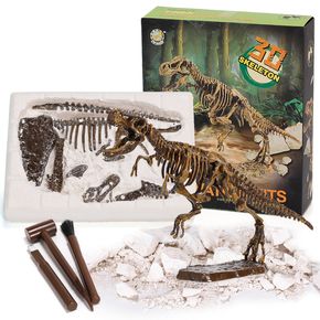 Dinosaurier 3D-Fossilien-Ausgrabungs-Kits graben Dinosaurier-Skelett-Set DIY-Modell-Lernspielzeug aus