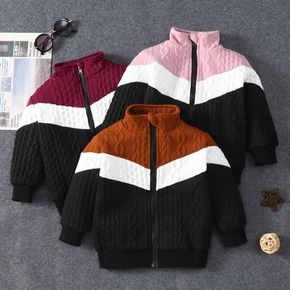 Toddler Boy Colorblock Cable Knit Textured Zipper Stand Collar Jacket