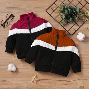 Baby Boy/Girl Imitation Knitting Colorblock Long-sleeve Zip Jacket
