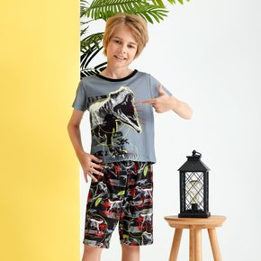 2-piece Kid Boy Dinosaur Animal Print Colorblock Tee and Shorts Casual Set
