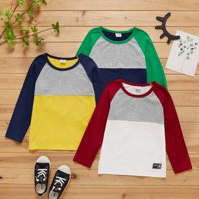 Kid Boy Long Raglan Sleeve Colorblock Letter Number Embroidery Casual T-shirt