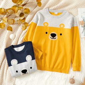 Kid Boy Animal Bear Pattern Colorblock Sweater
