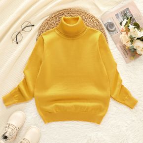 Kid Boy Turtleneck Solid Color Sweater
