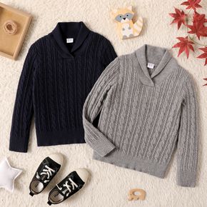 Kid Boy Cable Knit Lapel Collar Sweater