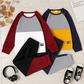 2-piece Kid Boy Colorblock Letter Embroidered Patch Raglan Sleeve Sweatshirt and Pants set
