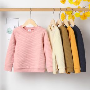 Kid Boy/Kid Girl Casual Textured Solid Color Pullover Sweatshirt