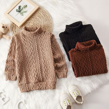 Toddler Boy Turtleneck Cable Knit Textured Sweater