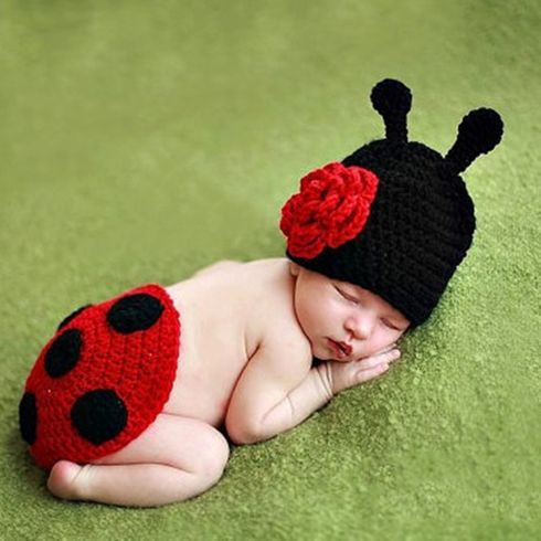 Ladybug Prop for Baby Photography