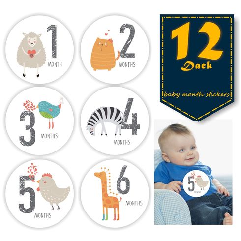 12er-Pack Baby-Monatsaufkleber für Neugeborene, monatliche Meilenstein-Aufkleber, selbstklebende Babyfotografie-Requisiten, Hintergrund-Souvenirs
