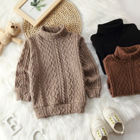 Toddler Boy Turtleneck Cable Knit Textured Sweater