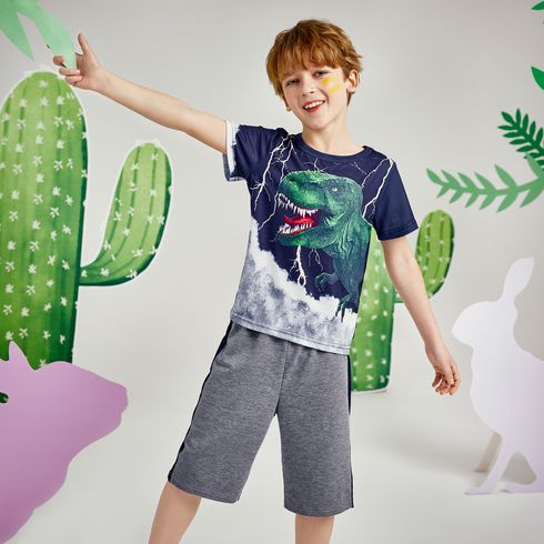2-piece Kid Boy Animal Dinosaur Print Short-sleeve Tee and Colorblock Shorts Set
