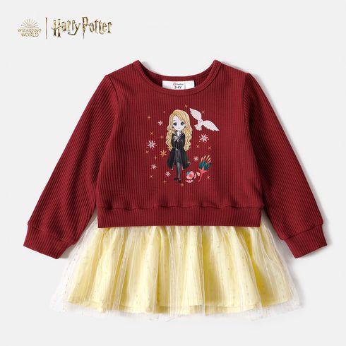 Harry Potter Toddler Girl Colorblock Long-sleeve Mesh Dress