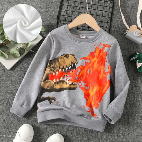 Kid Boy Dinosaur Flame Print Pullover Sweatshirt flowergrey big image 1